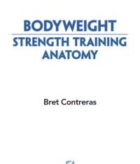 Bodyweight strength training anatomy